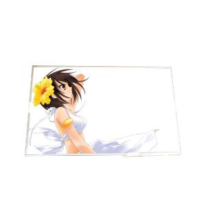 High Quality B170PW03 V2 17.3 inch TFT LCD Screen