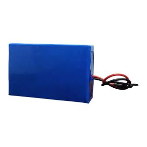 18.5V 4800mAh 18650 Rechargeable Lithium Battery NMC Deep Cycle