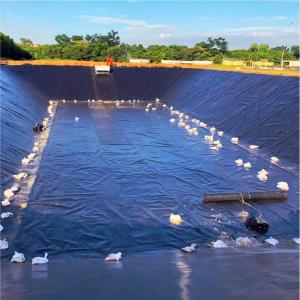Black Plastic Sheet Pond Liner Waterproofing HDPE Geomembrane 0.2mm/0.5mm/1.0mm