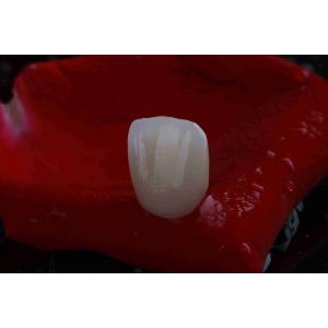 Natural Gradient 3D Multilayer Dental Zirconia Block