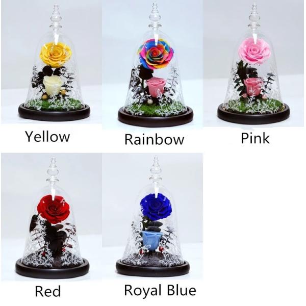 Beauty and the beast roses valentines day real preserved rose in glass that lasting 3 years