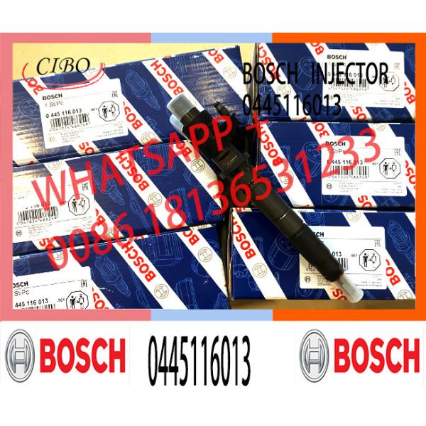 0445116012 0445116013 0445116064 0445116065 Common Rail Fuel Diesel Injector For Citroen