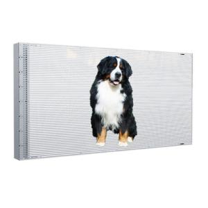 P4 Adhesive Transparent LED Display 240x1500mm For Glass Applications​