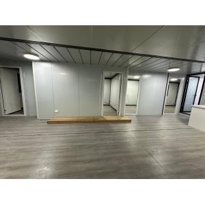 Structure Steel Luxury Container House 20FT/40FT Customized Expandable Prefab