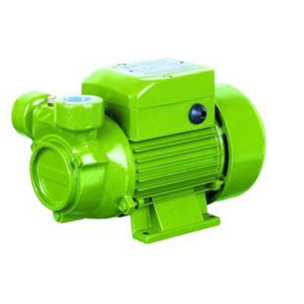Buy Agricultural Electric Peripheral Water Pump High Pressure 0.5HP Cast Iron Body at wholesale prices