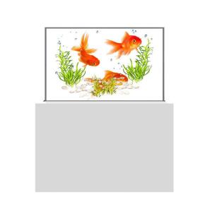 Quality Sleek See Through OLED Display Touchscreen OLED Clear Display for sale