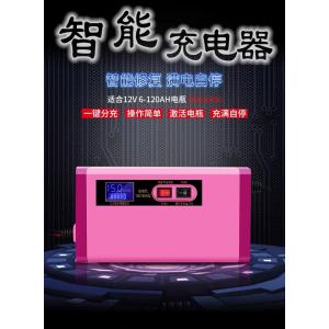 12v10a Motorcycle Smart Charger