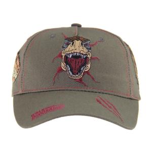 Customized Dragon Embriodery Baseball Caps, Low Profile Kids Adjustable Cotton