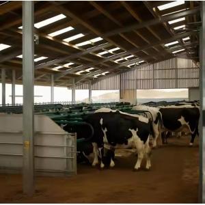 Temporary Prefabricated Steel Farm Storage Buildings Size Customized