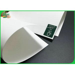 300gsm C1S Ivory Bristol Board Good Stiffness FDA Approved For Making Tray