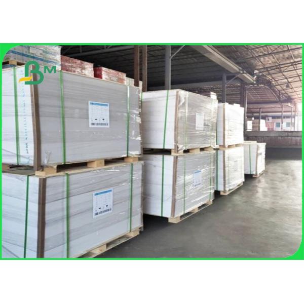 Buy 185+15g Polycoated Cupstock Board Disposable FDA Approved 50 * 35cm at wholesale prices