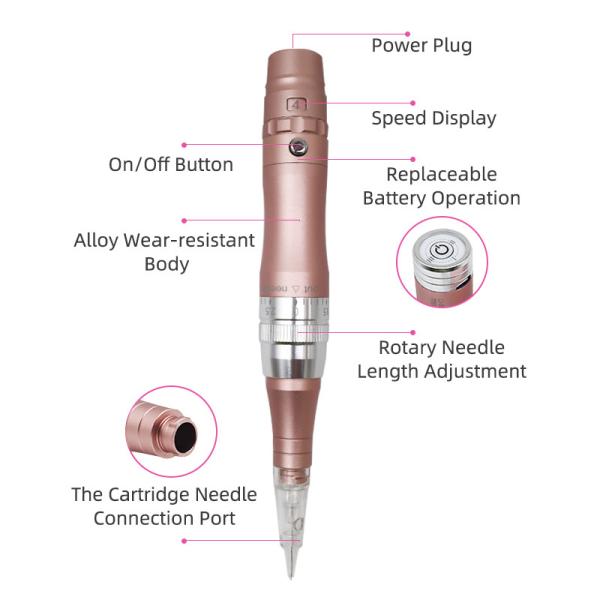 AC 110V Cordless Tattoo Pen For Beauty Salon Embroidery Training School