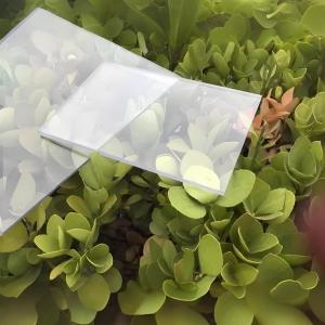 Clear Plastic Polycarbonate Sheet