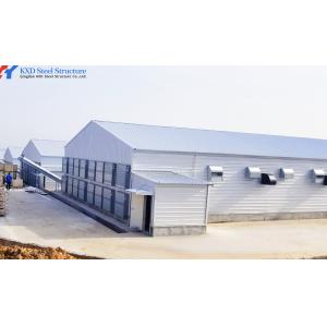 Galvanized Steel Poultry Shed for Large-Scale Chicken Farming