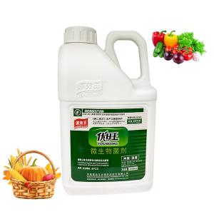 Root Microbial Inoculant Organic Fertilizer Advanced Liquid Soil Conditioner