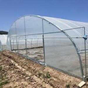 Arched Roof Agricultural Multi-Span Plastic Tunnel JX-PC Green House for