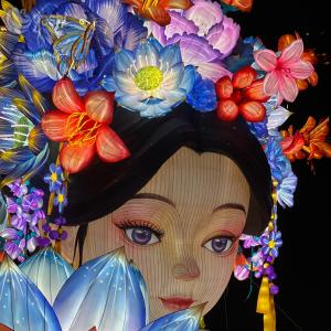 Flower Fairy Chinese Traditional Lantern for Festival Exhibition