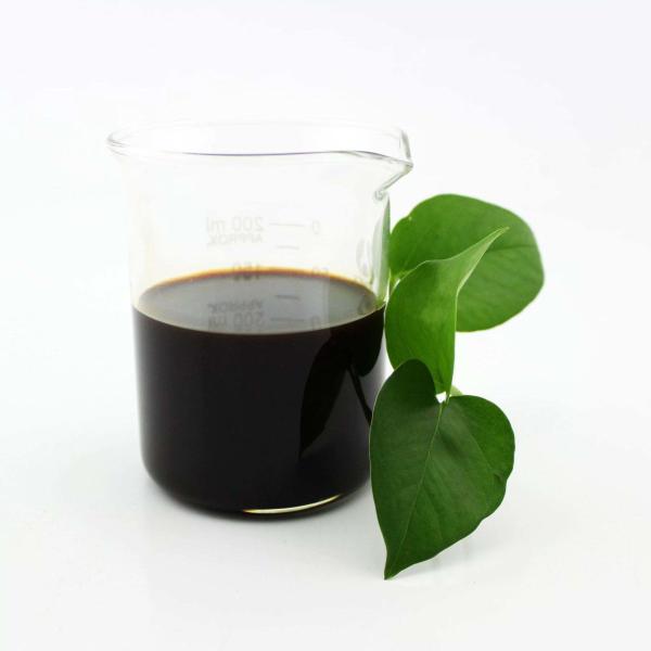 Soil Borne Disease Organic Water Soluble Fertilizer Rich Nitrogen Topdressing