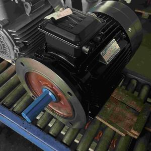 50HZ High Voltage Induction Motors Waterproof ISO9001