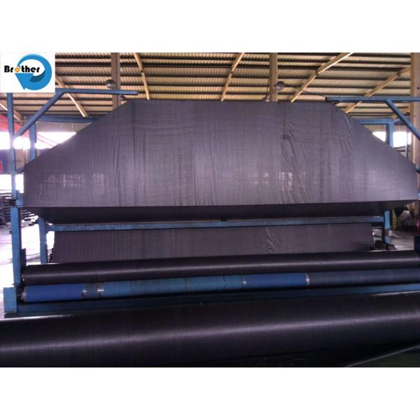 New PP Woven Weed Barrier Control Mat Ground Black Cover Fabric in Strawberry Garden