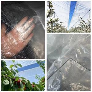 Transparent Agricultural Polyethylene Tarp With Strong Tear Strength 150N/50mm