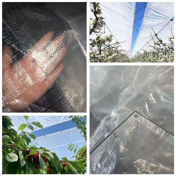 Transparent Agricultural Polyethylene Tarp With Strong Tear Strength 150N/50mm Warm Green House Woven Fabric