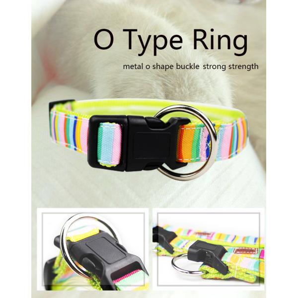 C508 Shenzhen Manufacturer Cute Cheap Price Custom Logo Fashion Sublimation Pet Dog Collars and Leads