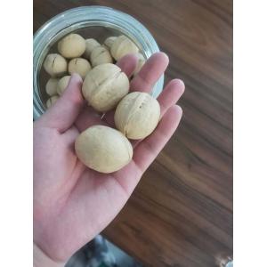 Walnuts Best Seller Manufacturer Wholesale Premium Organic unshelled walnuts