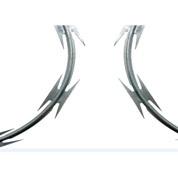 Buy 700mm Roll Diameter Razor Barbed Wire Cbt-65 Hot Dipped Galvanized at wholesale prices