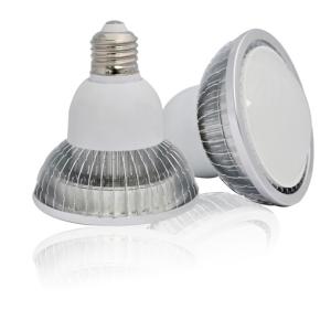 LED PAR30-9W PAR Light/Lamps