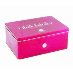 Square Food Tin Box Containers For Holiday Collection
