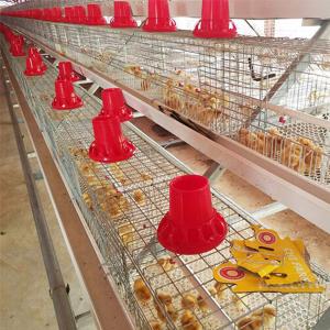 High Quality A Frame Brooding Chicken Cage Pullet Cage With Electro-Galvanized