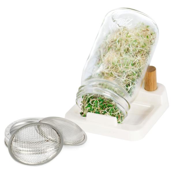 ceramic Sprouting Kit With Curved Mesh with two beech wooden handle -150*150*50mm