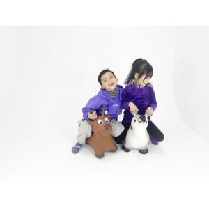 Customized Logo Bouncy Animal Hopper Cute Rainbow Unicorn Shape Waterproof