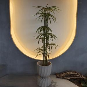 UV Resistant Plastic Faux Plants Artificial Graptopetalum Tree