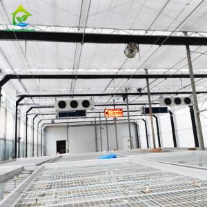ODM Auto Light Deprivation Greenhouse 6m-12m Width Polycarbonate Sheet