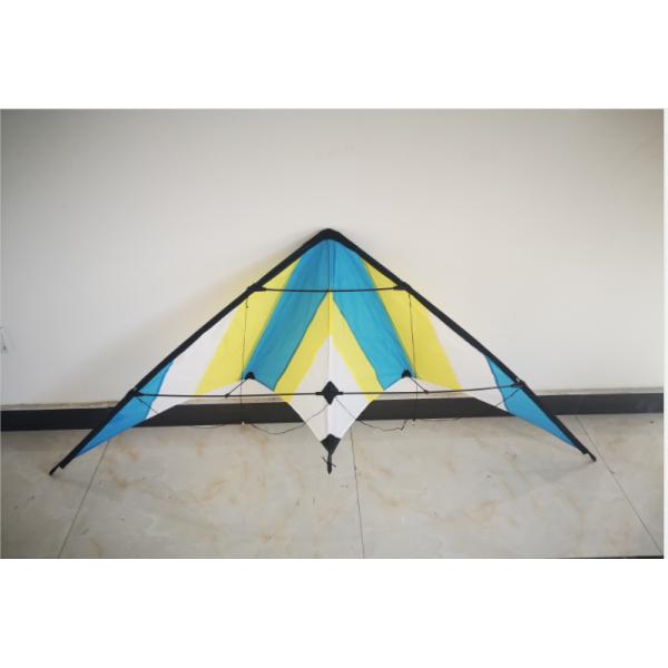 Buy SGS OEM And ODM 6bft Swing Delta Stunt Kite at wholesale prices