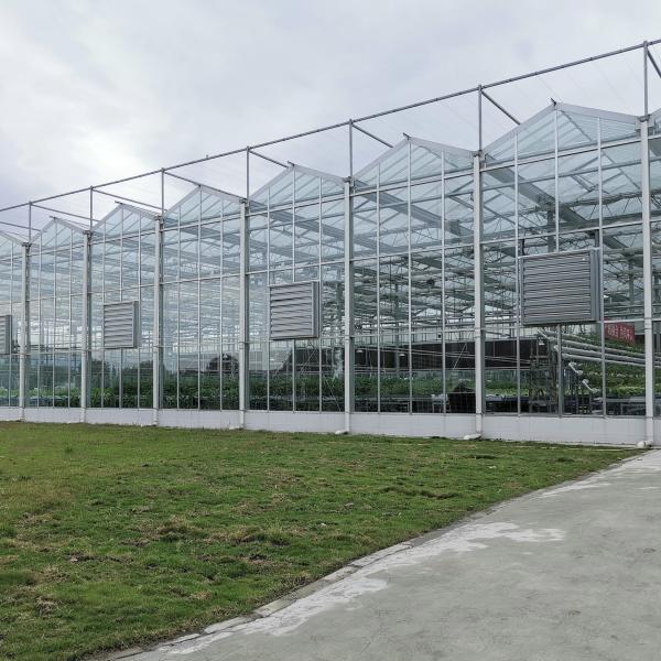 Polycarbonate Hollow Board Glass Industrial Outdoor Multispan Glass Professional Dutch Greenhouse For Flower Planting