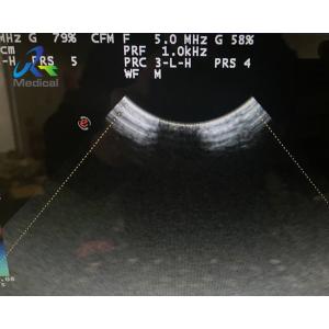 Biosound Biosound CA123 Ultrasound Probe Repair Service Replace Crystal Lens