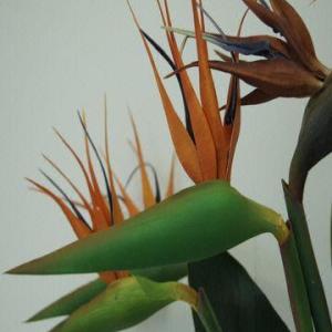 Real Touch PU Bird of Paradise ,