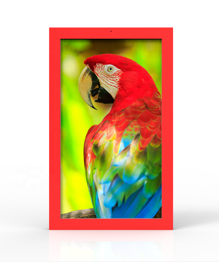 43-Inch Outdoor Digital Signage with 5mm Tempered Glass 50,000 Hours Lifespan and Android OS