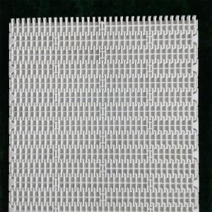 Plastic Modular Conveyor Belt with 1000 Molded