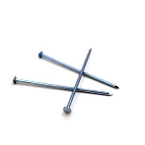 Blue Coated Concrete Nail