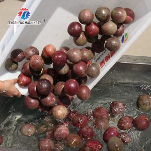 2pcs/Min Industrial Vegetable Processing Machine Automatic Elevator Food