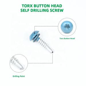 Flat Head Style Blue Painted Button Stainless Steel Self Tapping Screw with Torx