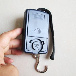 ABS Plastic Digital Hanging Scale With Multifunctional Net Weighing Function