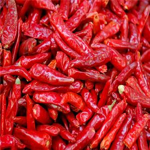 China Dried Birds Eye Chilli Rich In Essential Vitamins And Minerals on sale