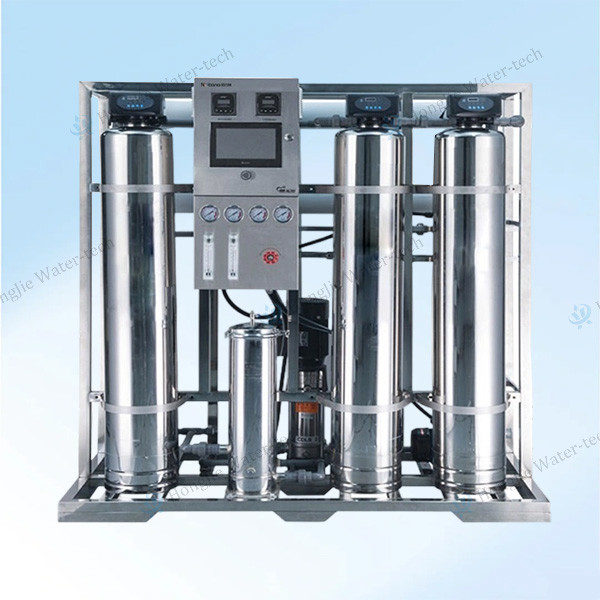 500L-1000L/Hour Stainless Steel 316L RO Water Filter Machine For Food And