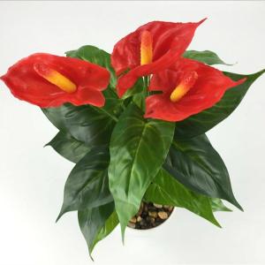 18 Heads Artificial Anthurium Plants