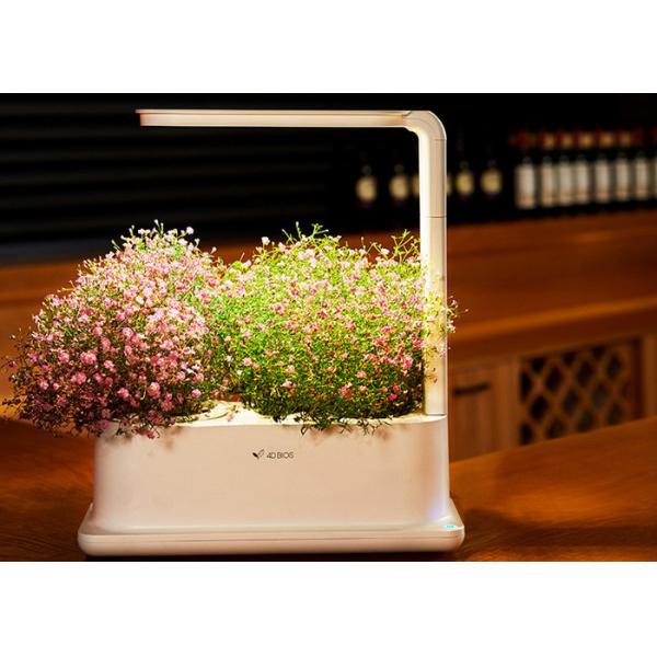 Buy 3pcs Plant PP Home Hydroponic Growing Systems With Led Light at wholesale prices